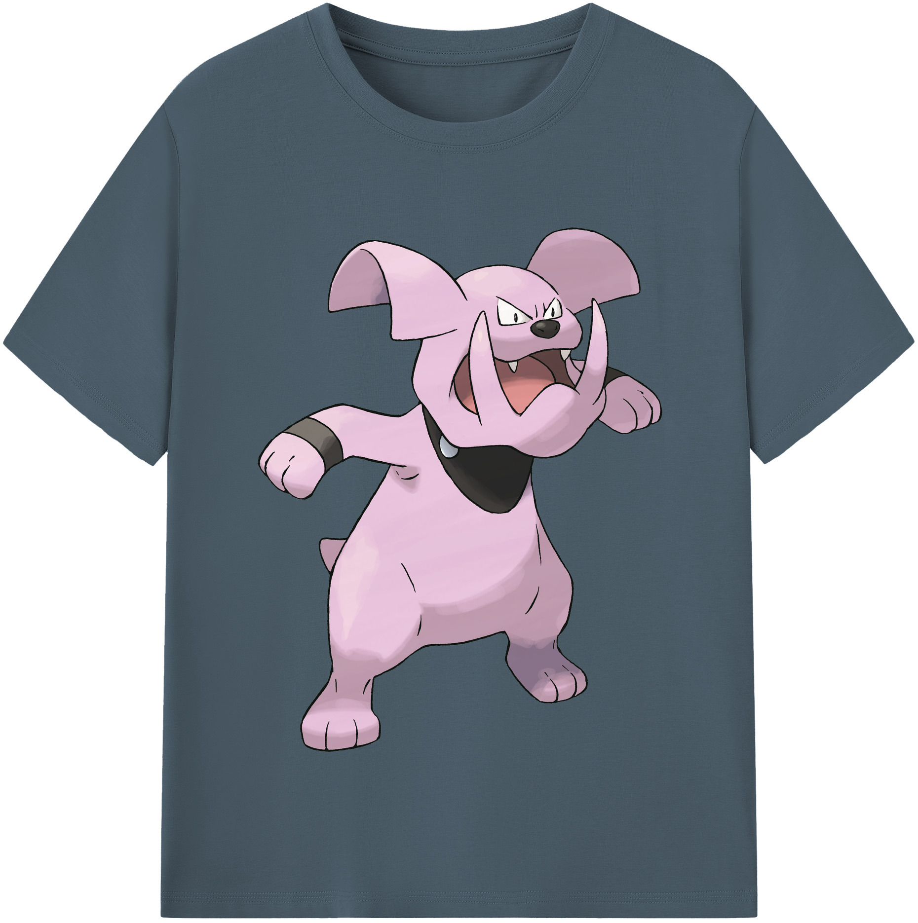 （画像用） ポケットモンスター Pokémon 綿100％半袖Tシャツ（フロントプリント）